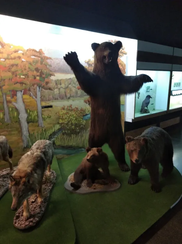 Muzeum Przyrodnicze Bieszczadzkiego Parku Narodowego